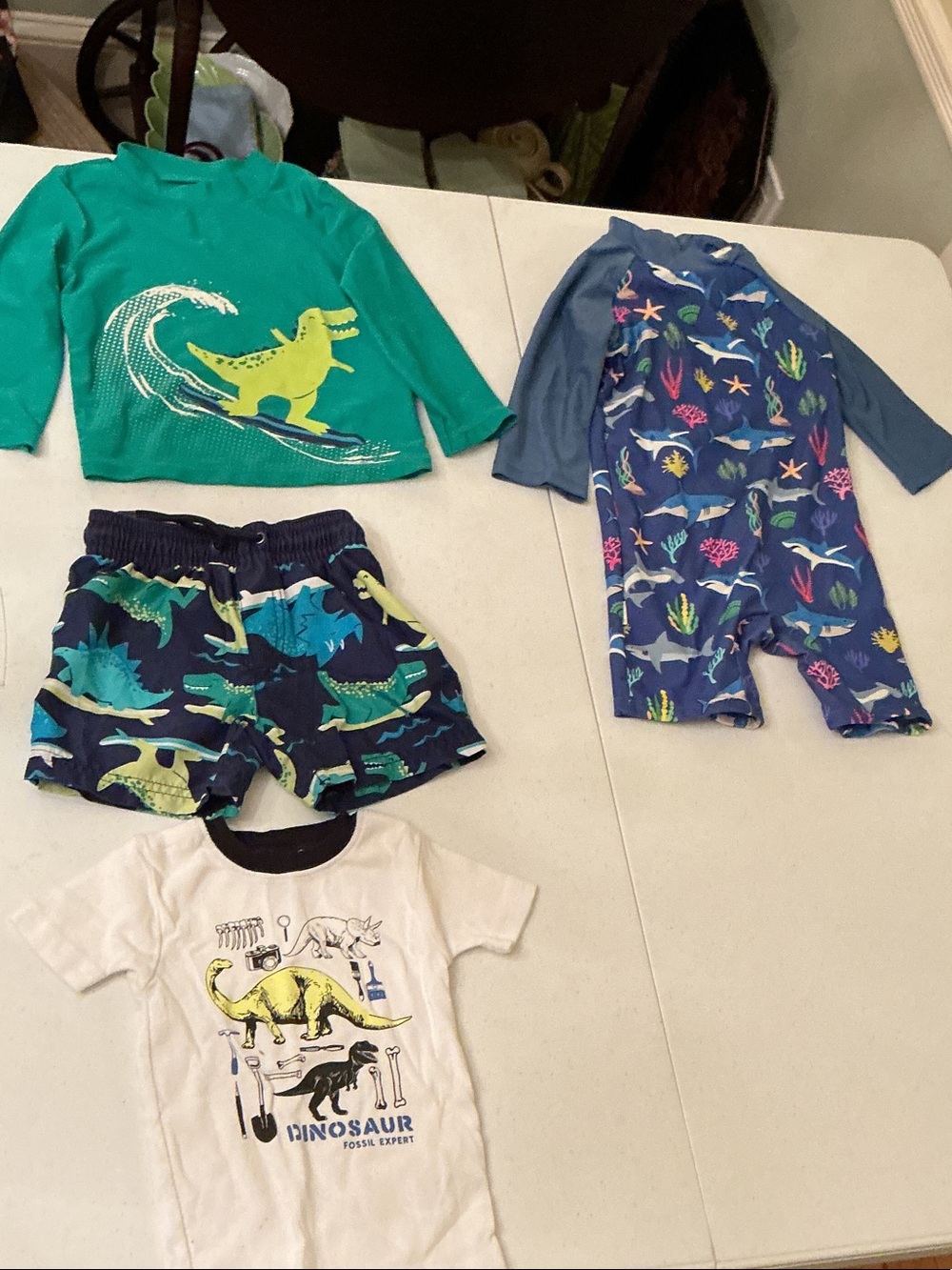 Kids Green Dinosaur Rash Guard Swim Top and Navy Dino Swim Shorts Set